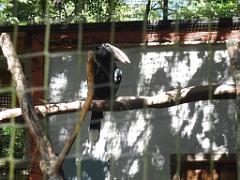 101PARC AUX OISEAUX DANS L AIN 2016 1_000046